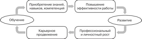 Взаимосвязь между обучением животных и формированием условных реакций