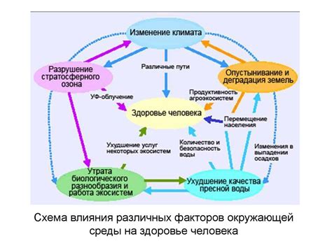 Взаимосвязь между окружающей средой и состоянием слизистых оболочек