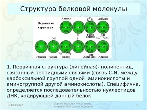 Взаимосвязь между последовательностью нуклеотидов и структурой белка