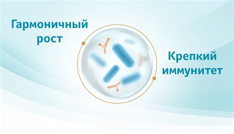 Взаимосвязь между постом и здоровьем кудрей: связь и влияние