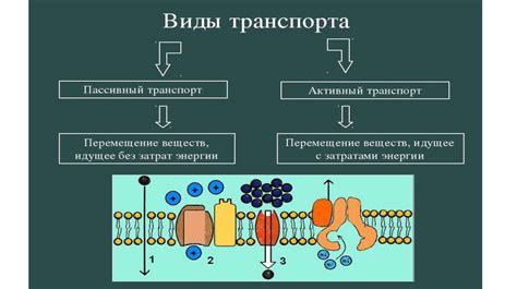 Взаимосвязь между структурой вещества и его свойствами