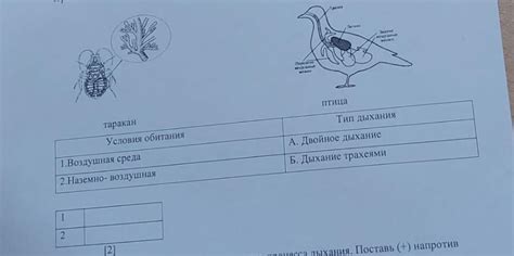 Взаимосвязь между типом целевой рыболовной породы и передаточным отношением катушки