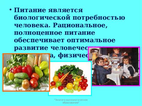 Взаимосвязь пола ребенка и потребностей организма: оптимальное питание для будущей мамы