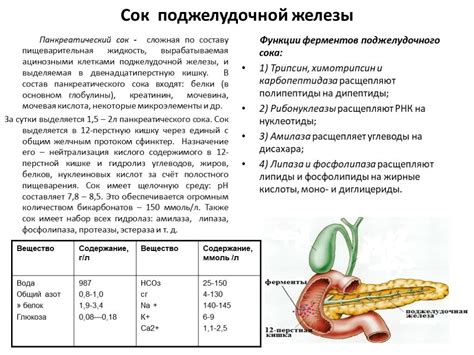 Взаимосвязь употребления ароматической жидкости на пищеварительную систему