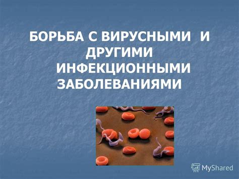 Взаимосвязь цитомегаловируса с другими инфекционными заболеваниями