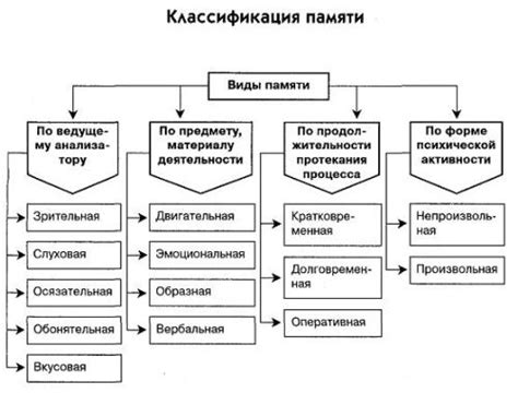 Виды памяти и их специфика