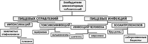 Виды патогенных микроорганизмов, вызывающих различные заболевания