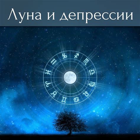 Виды эдельвейсов, которые можно обнаружить в Х ф