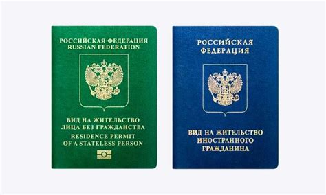 Вид на жительство в России для беженцев: процедура и права