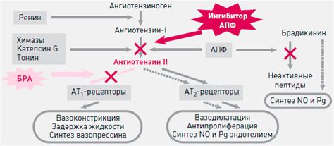 Винпотропил: механизм действия и применение