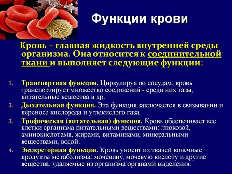 Вирусные болезни и их воздействие на состав крови