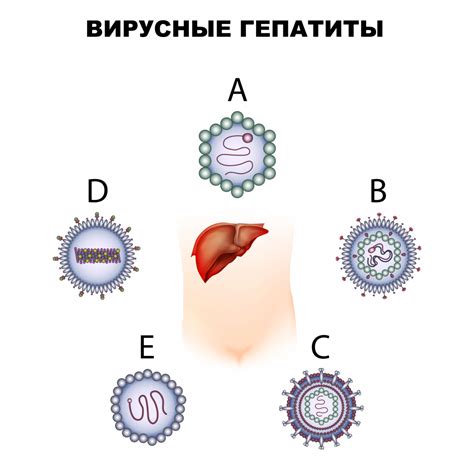 Вирусный гепатит С