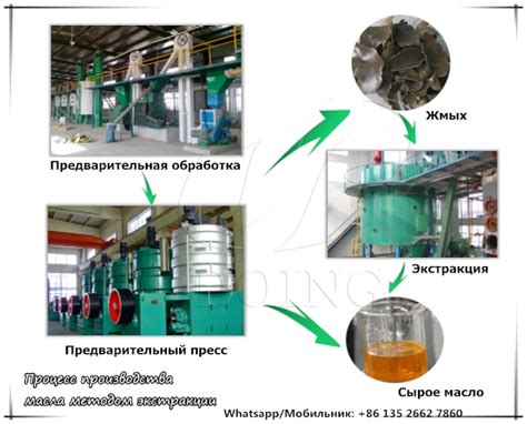 Витаминное богатство просроченного масла из льна