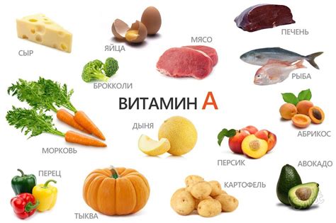 Витамин А: наличие в продуктах растительного и животного происхождения