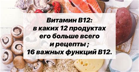 Витамин В12 и его роль в организме человека