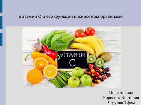 Витамин В16: функция в организме