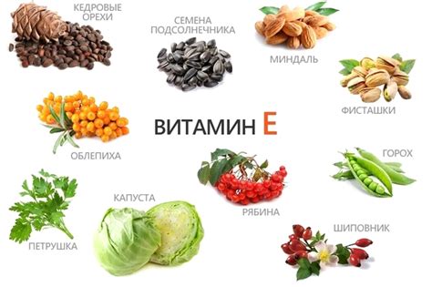 Витамин Е: необходимый элемент питания
