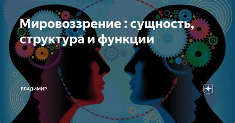 Витамин DHEA: сущность, функции и выгоды