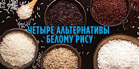 Вкусные альтернативы: необычные замены обычному рису