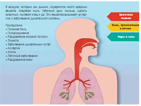 Влияние ВСД на организм человека: