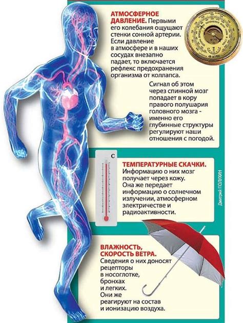 Влияние Индап на организм при сниженном артериальном давлении