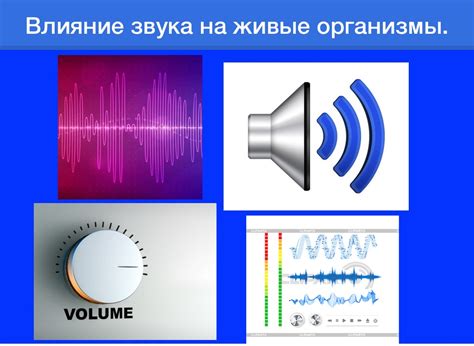 Влияние акцента на согласованность звуков