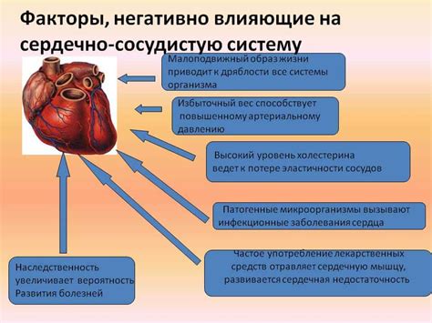 Влияние анемии на работу сердечно-сосудистой системы