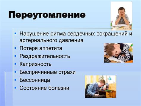 Влияние архитектуры нервной системы на функционирование автомобиля