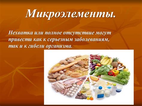 Влияние белков на организм: механизмы и значение