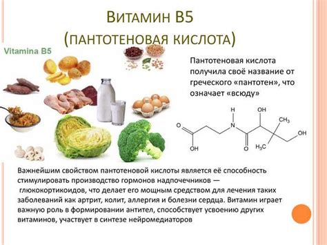 Влияние витамина В15 на обмен веществ