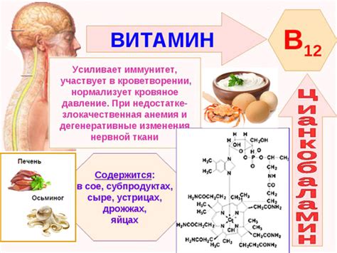 Влияние витамина B12 на обмен веществ