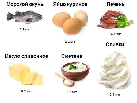 Влияние витамина D на женскую репродуктивную систему