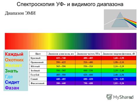 Влияние влажности и освещенности на жизнь подотавников в местах обитания в Рязани