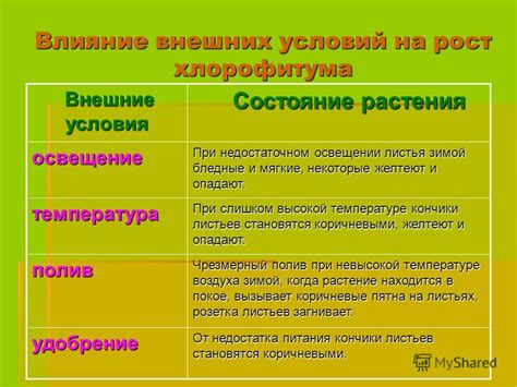 Влияние внешних факторов и условий эксплуатации на работу разъема зарядки