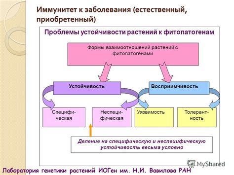 Влияние внешних факторов на возникновение данного стремления