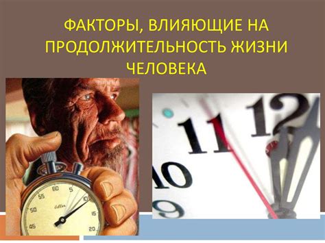 Влияние внешних факторов на продолжительность линии биологического пути человека