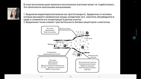 Влияние воспалительных процессов и сжатия нервов на состояние равновесия организма