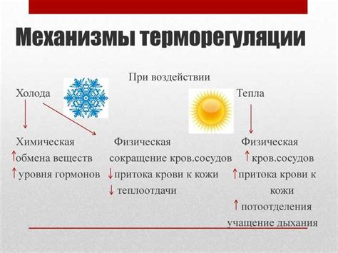 Влияние высокой температуры на материал шампура