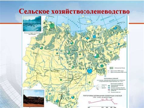 Влияние географического местоположения судьи на рассмотрение дела