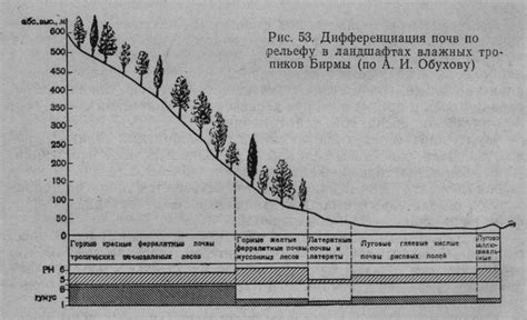 Влияние геологических процессов на распределение красно-желтых ферраллитных почв