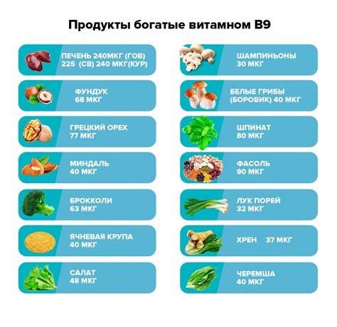 Влияние дефицита витамина В9 на формирование структуры плода