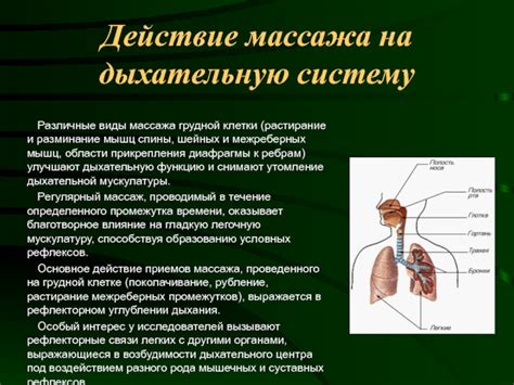 Влияние диафрагмы на функцию произношения и качество голоса