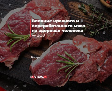 Влияние дикого мяса на здоровье человека