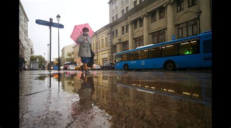 Влияние дождливой погоды на работу в природной среде