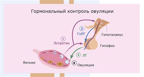 Влияние дождя в снах на внутреннее состояние и настроение мужчин