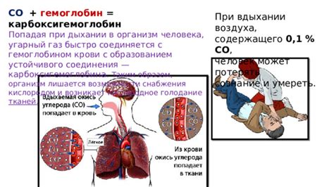 Влияние дыхания на циркуляцию крови и поставку тканей кислородом