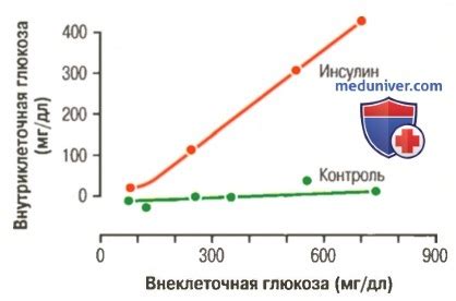 Влияние иван-чая на содержание глюкозы в крови: результаты научных исследований