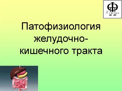 Влияние избыточного тепла на функционирование желудочно-кишечного тракта