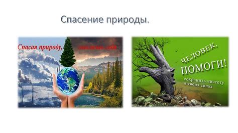 Влияние изменения климата на биосистему тайги