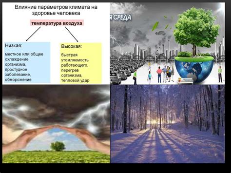 Влияние изменения климата на пропажу кошек в городских средах